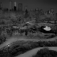 Illustration for article titled New Yorks Central Park never looked so beautiful as in these photos